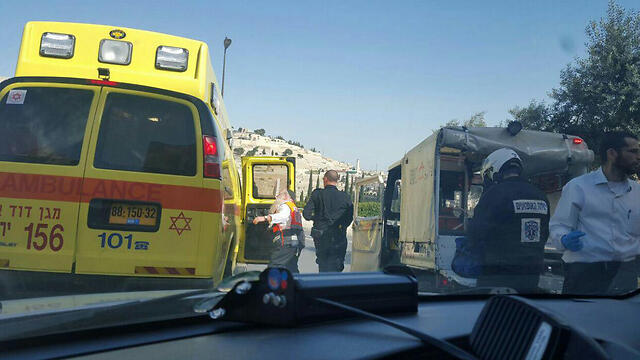 Фото: TPS (архив) (צילום: TPS) Фото: TPS (архив)