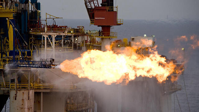 Photo: Albatross (צילום: "אלבטרוס") Photo: Albatross