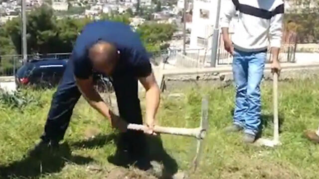 Planting saplings in memory of terroristsnullnull Planting saplings in memory of terrorists