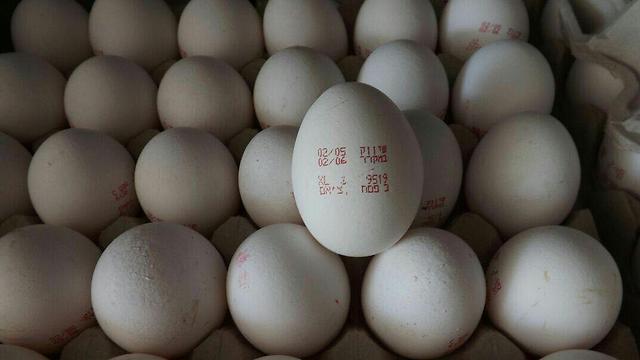 צילום: המועצה לענף הלול