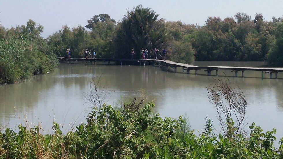 В заповеднике Эйн-Афек. Фото: Ярон Друкерман