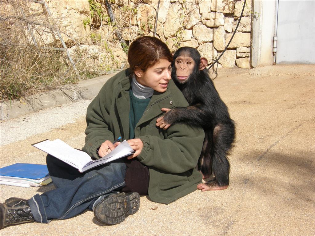 חג פסח טיולים טיול אטרקציות פסטיבלים פעילויות משפחה גן החיות התנ"כי ירושלים מאחורי הקלעים