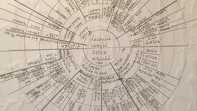 A Corfu family tree (photo from Nata Gattegno's private collection) (צילום: מתוך האוסף הפרטי של נטה גטיניו) A Corfu family tree (photo from Nata Gattegno's private collection)