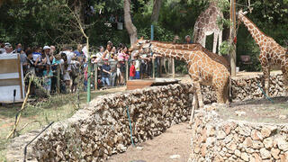 "Сафари" в Рамат-Гане 