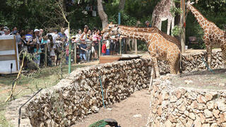 הספארי ברמת גן