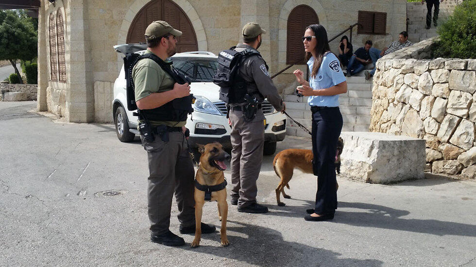 Photo: Eli Mandelbaum