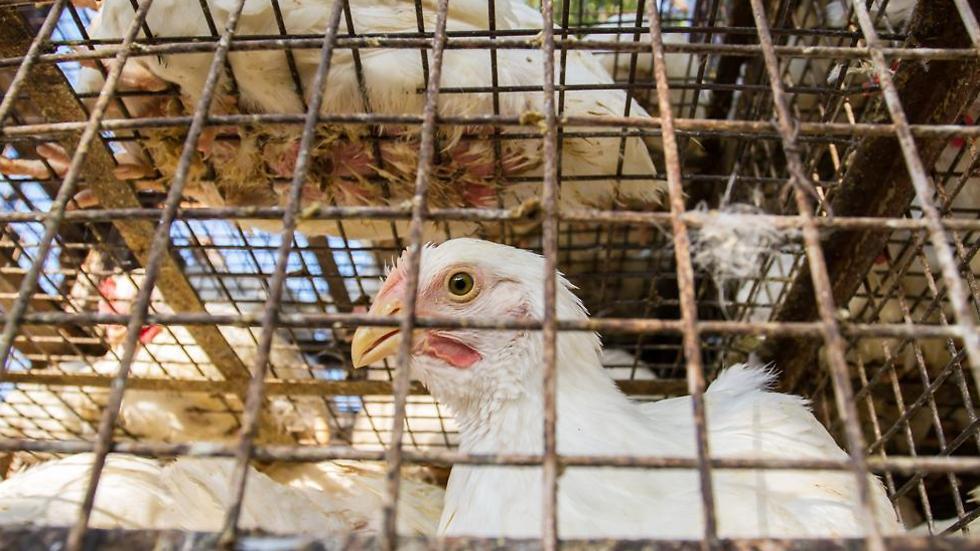 Фото: shutterstock