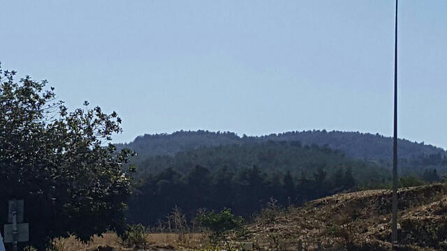 Forest between Megiddo Junction and Musmus (צילום: דוברות כבאות והצלה מחוז צפון) Forest between Megiddo Junction and Musmus