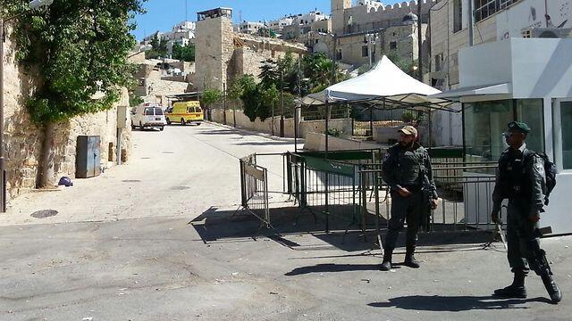 Photo: Chaim Bleichner/TPS (צילום: חיים בלייכר/TPS) Photo: Chaim Bleichner/TPS