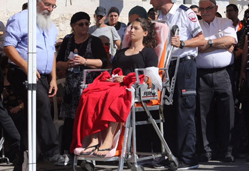 Photo: Yohanan Gil (צילום: גיל יוחנן ) Photo: Yohanan Gil