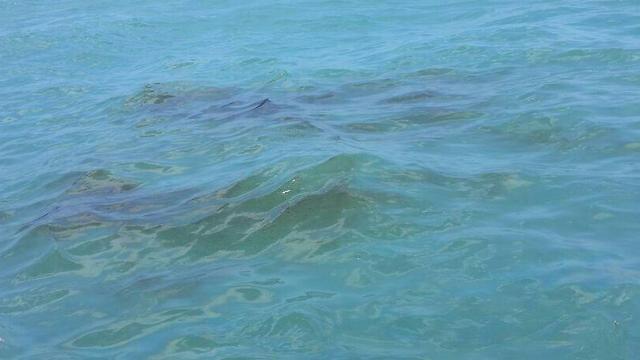 The oil spill (Photo: Environmental Protection Ministry)