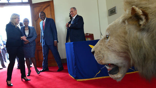 Photo: Kobi Gidon/GPO (צילום: קובי גדעון, לע"מ) Photo: Kobi Gidon/GPO