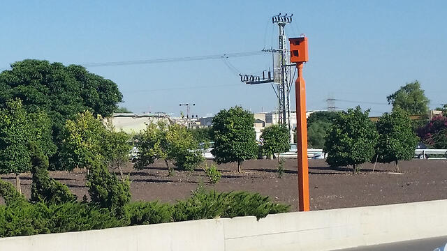 Фото: Лиор Паз