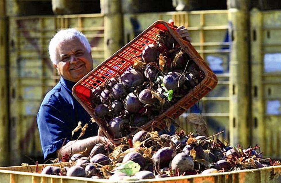 Israeli farmers (Photo: Boaz Rabinovitch)