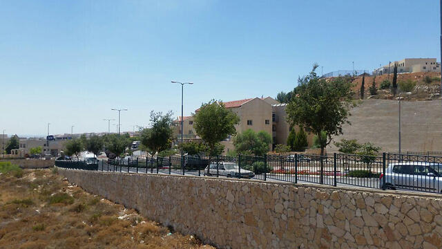 Street where toddler was forgotten (Photo: Eli Mendelbaum) (צילום: אלי מנדלבאום) Street where toddler was forgotten (Photo: Eli Mendelbaum)
