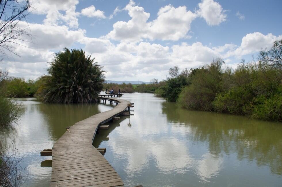 Фото: Управление парков и заповедников
