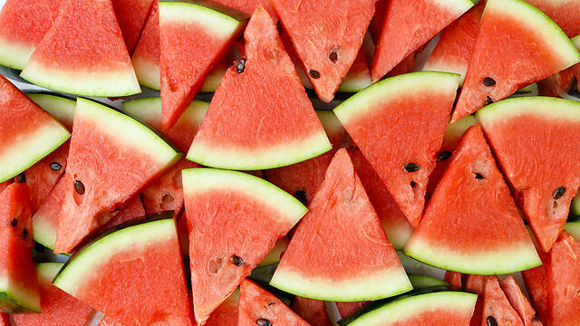 Фото: shutterstock