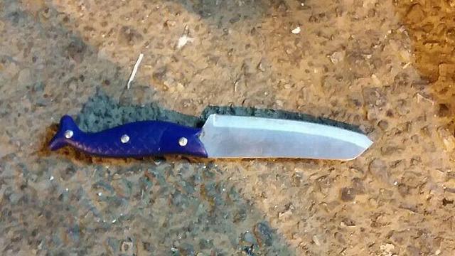 The terrorist's knife (Photo: Samaria Regional Council)