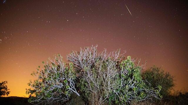 Фото:AFP (צילום: מנחם כהנא, AFP) Фото:AFP