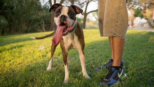 Photo: ELAN/TPS (Photo: ELAN/TPS) Photo: ELAN/TPS