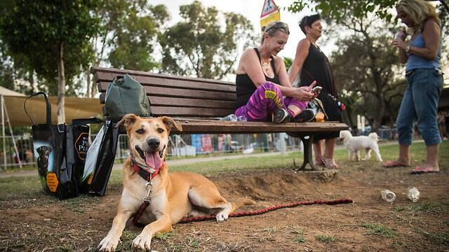 Photo: ELAN/TPS (Photo: ELAN/TPS) Photo: ELAN/TPS