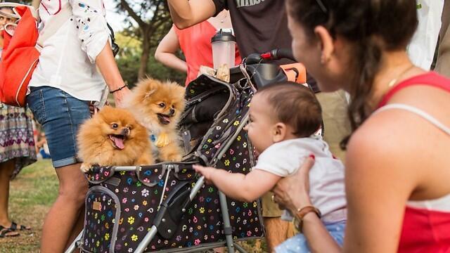 Photo: ELAN/TPS (Photo: ELAN/TPS) Photo: ELAN/TPS