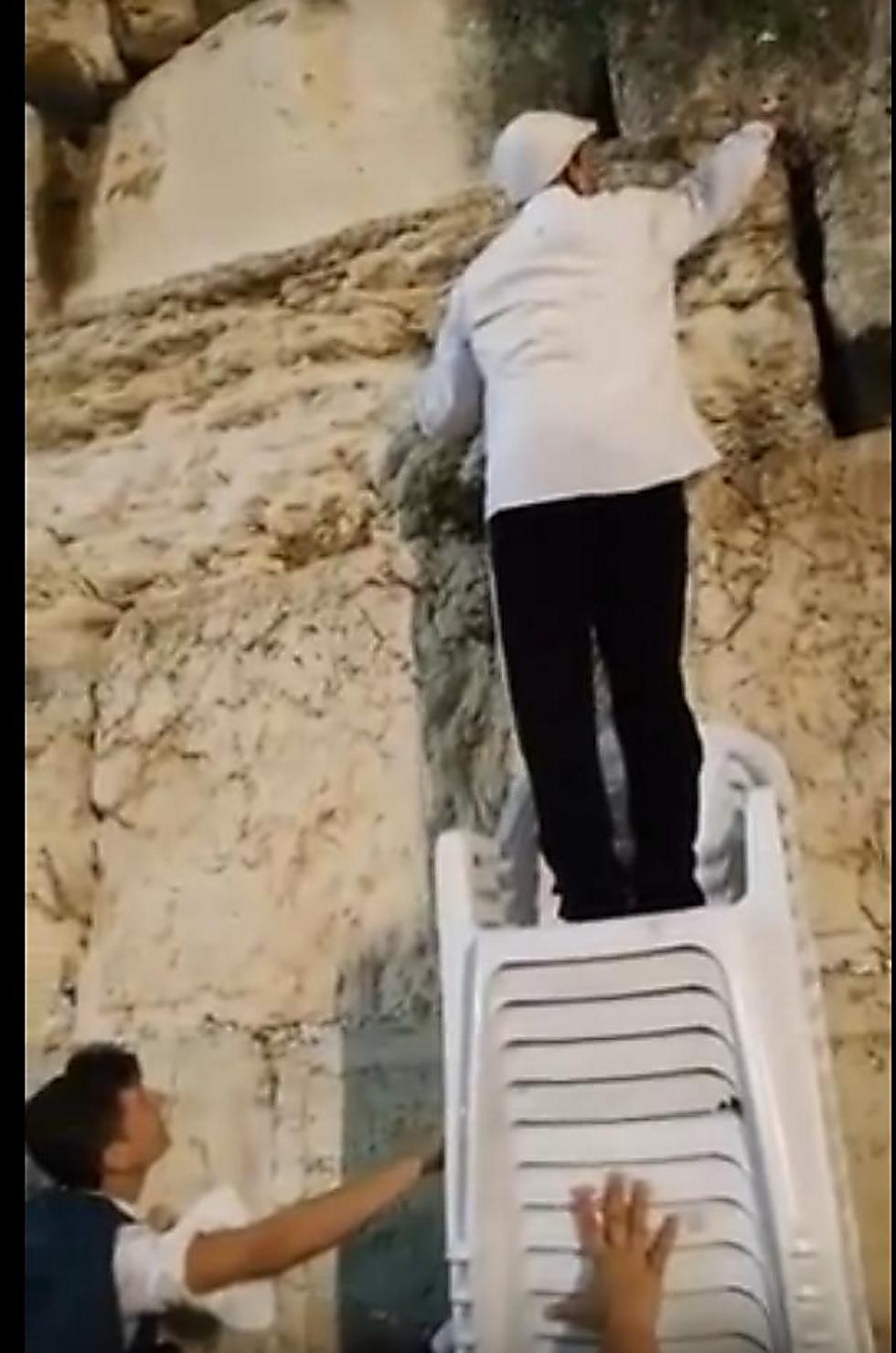 The brave extraction