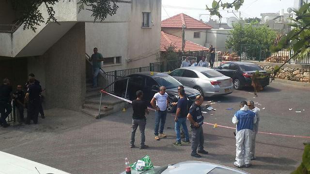 Photo: Elad Gershgoren