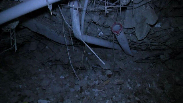 Photo: Yogev Atias (צילום: יוגב אטיאס) Photo: Yogev Atias