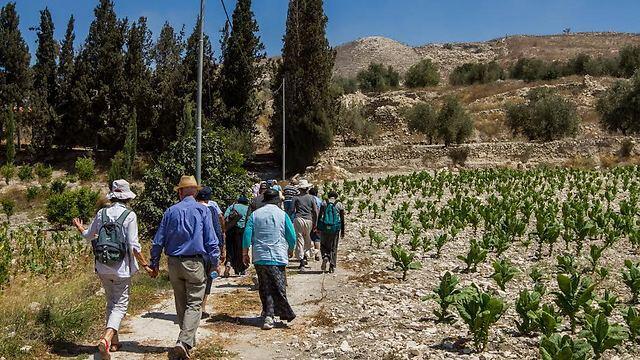 Photo: Ido Erez (צילום: עידו ארז) Photo: Ido Erez