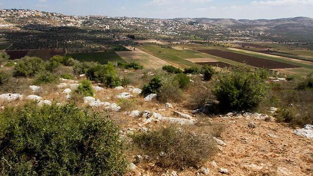 Photo: Ido Erez (צילום: עידו ארז) Photo: Ido Erez