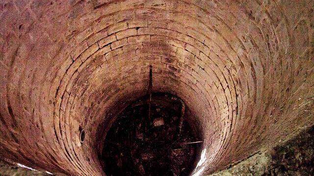 Photo: Ido Erez (צילום: עידו ארז) Photo: Ido Erez