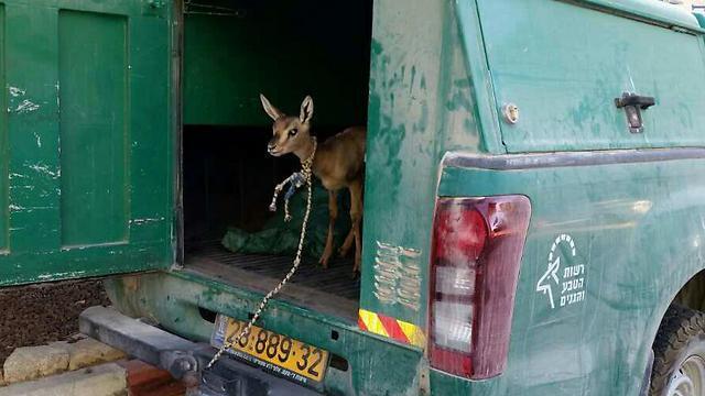 Photo: Police Spokesperson