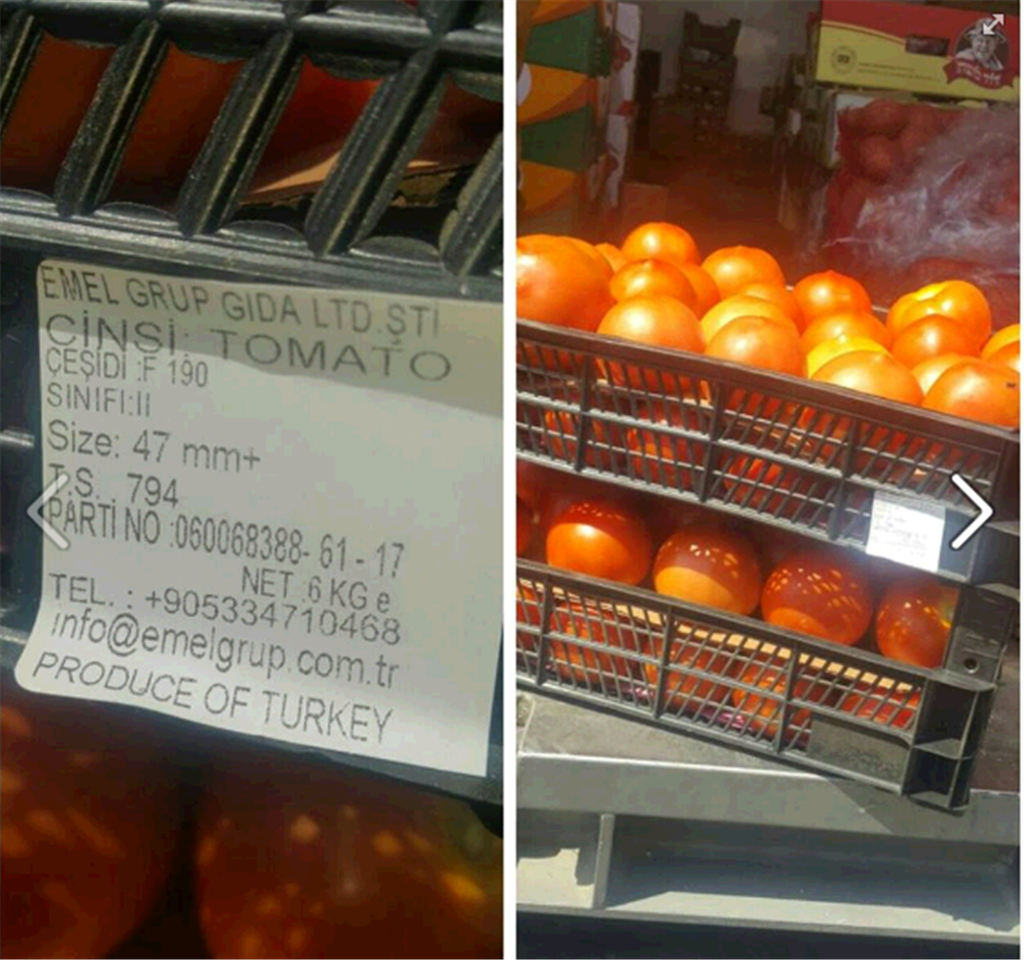 Turkish tomatoes in Israel (צילום מסך מפייסבוק) Turkish tomatoes in Israel