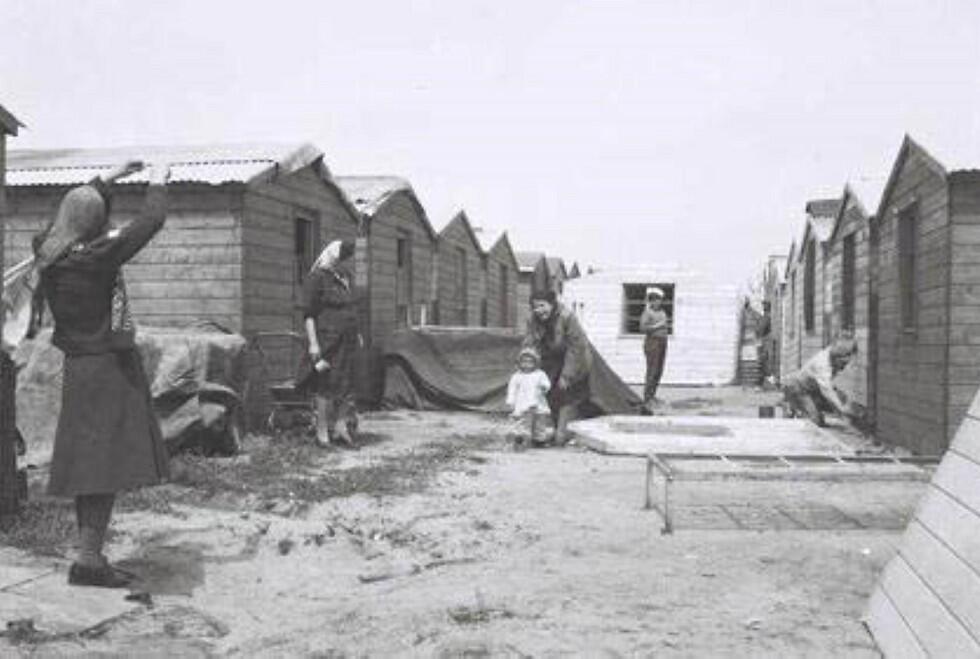 New immigrants in 1949. Left the parental authority in their homelands (צילום: דוד אלדן, לע"מ) New immigrants in 1949. Left the parental authority in their homelands