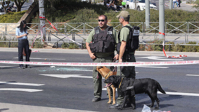 Security arrive at the scene of the attack (Photo: Gil Yohanan)