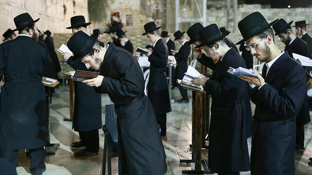 Praying at the Western Wall (Photo: Ohad Zwigenberg) (צילום: אוהד צויגנברג) Praying at the Western Wall (Photo: Ohad Zwigenberg)