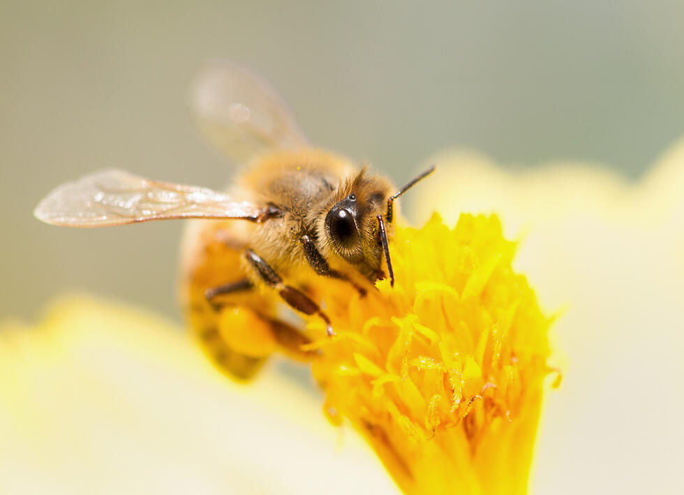 Фото: shutterstock