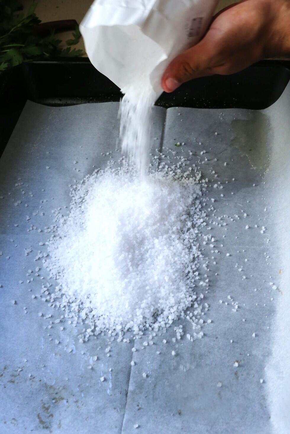 Приготовление тхины. Фото: Цвика Тишлер (צילום: צביקה טישלר) Приготовление тхины. Фото: Цвика Тишлер