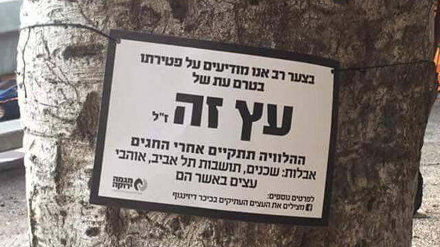 An obituary placed on one of the 70-year-old ficus trees due to be uprooted