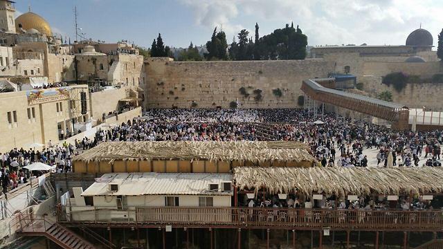 The Western Wall Plaza (Photo: Eli Mendelbaum)