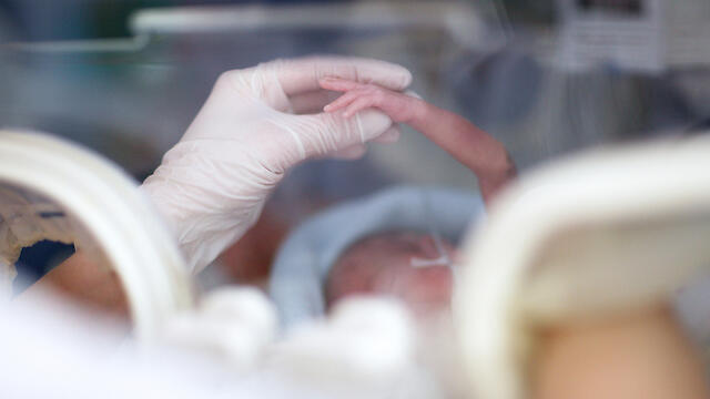 Фото: shutterstock (צילום: shutterstock) Фото: shutterstock