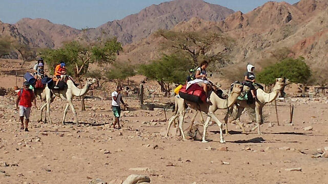 Israelis vacationing in Sinai (Photo: Guy Shiloh)