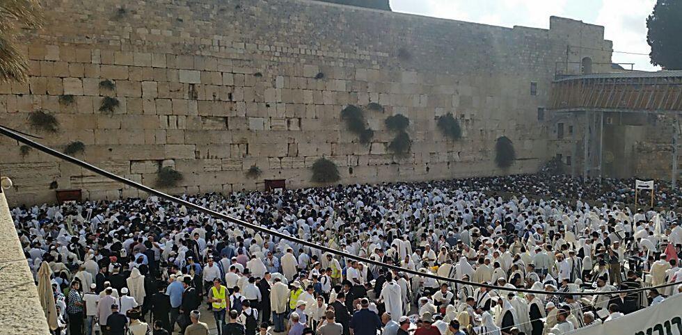 Photo: Eli Mendelbaum