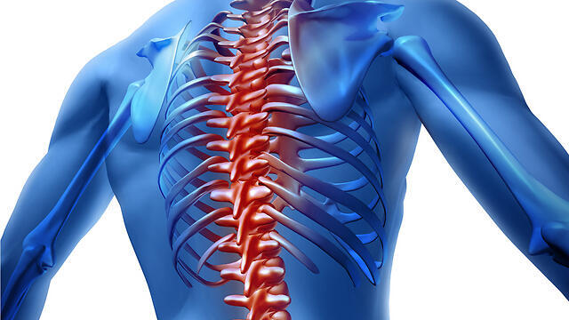 Фото: shutterstock (צילום: shutterstock) Фото: shutterstock