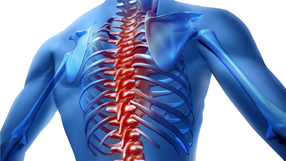 A spinal cord injury is not a simple tear but a disruption of a complex and intricate neural network (Photo: Shutterstock) A spinal cord injury is not a simple tear but a disruption of a complex and intricate neural network