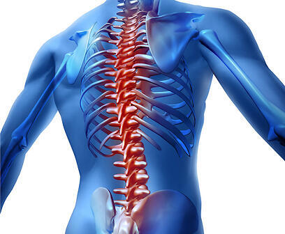 Фото: shutterstock (צילום: shutterstock) Фото: shutterstock