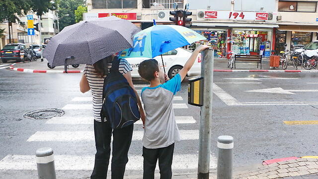 Фото: Дана Копель (צילום: דנה קופל) Фото: Дана Копель
