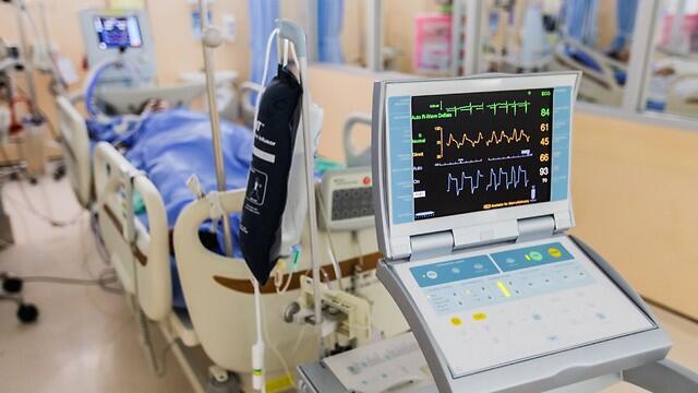 Фото: shutterstock (צילום: shutterstock) Фото: shutterstock