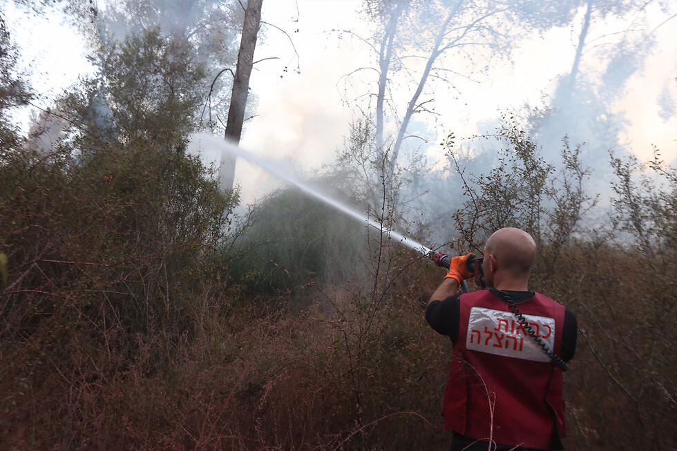 Photo: Gil Yohanan (צילום: גיל יוחנן) Photo: Gil Yohanan